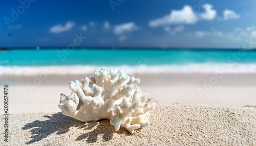 Bleached White Coral Piece On Tropical Sandy Beach With Blurry Turquoise Ocean Background
