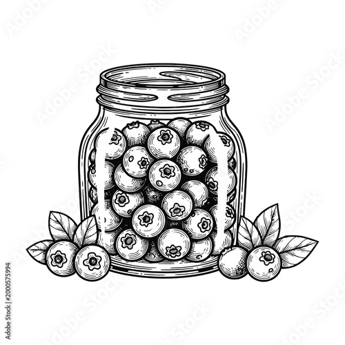 Blackberries in a glass jar with leaves and berries on a white background illustration