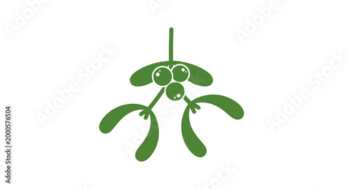 Mistletoe plant with green leaves berries.