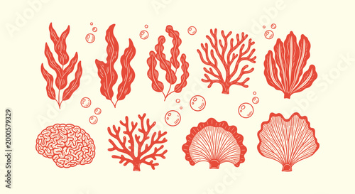 Hand Drawn Red Sea Coral and Seaweed Collection Set Underwater Marine Life Illustration Elements