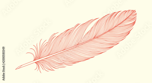 Intricate red line art feather illustration on light background for vintage and minimalist themes.