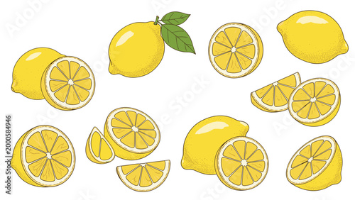Set of hand drawn lemon illustrations including whole fruits, halves, and slices with detailed textures and leaves for fresh citrus designs.