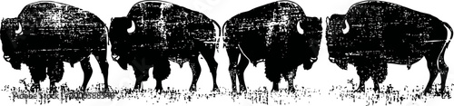 bison herd silhouette walking in line on white background, wildlife and nature scene