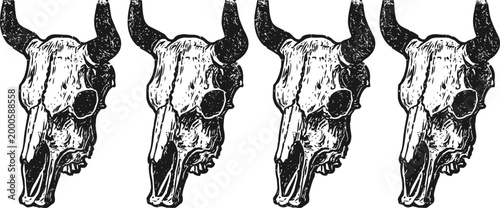hand drawn vintage bull skull illustration set with distinct shading and textured details