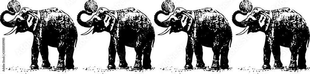 Fototapeta premium four black and white elephants with raised trunks standing in a row, artistic vintage