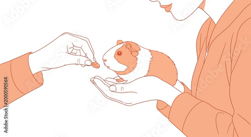 Human hands feeding a cute guinea pig with small treat