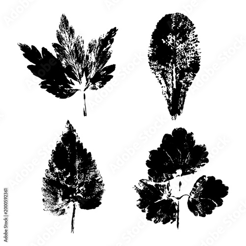 Grunge Leaves Stamp Collection. Artistic paint texture foliage imprints. Vector fall rough leaf set