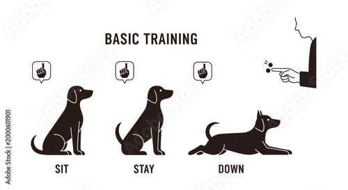 Dogs in Different Basic Training Positions.