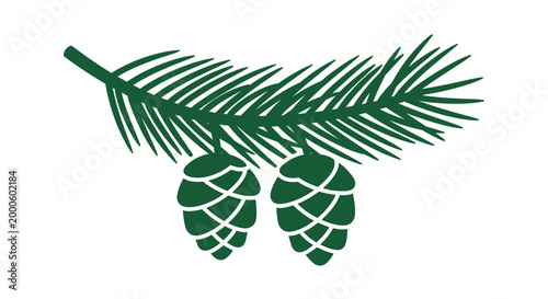 Pine cones on a branch.