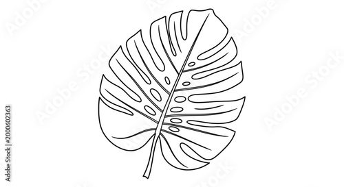 Simple black line art illustration of a Monstera leaf