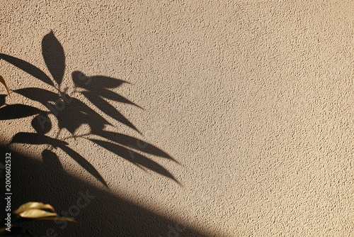 Plant leaf shadow on textured wall. Sunlight creates natural, abstract pattern on rough surface. Minimalist background