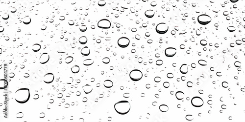 Schilderij op canvas Realistic water droplets on the transparent window.