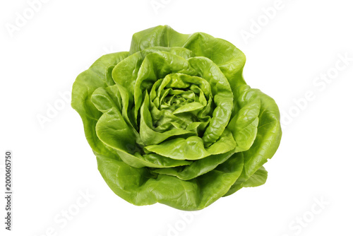 Tableau sur toile Fresh green butterhead lettuce isolated on white background, crisp organic leaf vegetable perfect for healthy salads and clean eating concepts