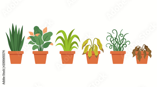 Cartoon illustration of six assorted potted houseplants in terracotta pots, colorful indoor greenery collection