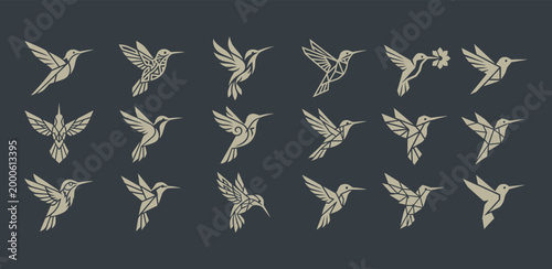 Geometric hummingbird logos set for minimalist branding and modern identity design projects