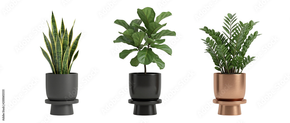 Fototapeta premium Potted houseplant trio PNG decor cutout