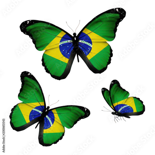 Colorful butterflies flying together in nature