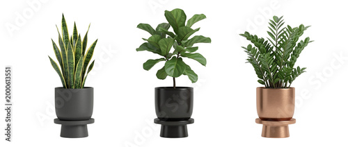 Canvas Print Potted houseplant trio PNG decor cutout