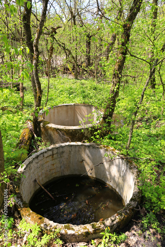 Abandoned concrete wells overgrown with lush green forest vegetation in spring