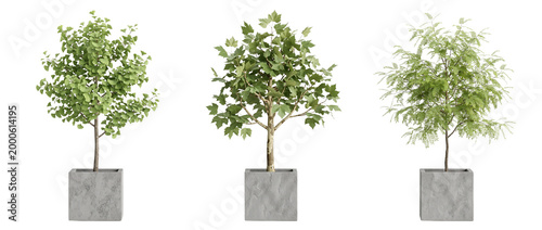 Fotografía Small trees in concrete planters PNG landscape cutout