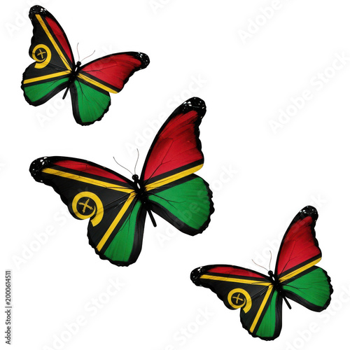 Colorful butterflies flying in a bright setting