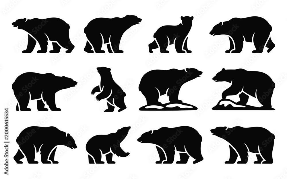 Fototapeta premium Collection of black bear silhouettes walking standing and moving in various poses on white background