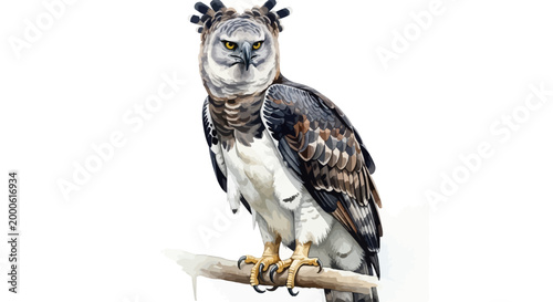 фотографія Majestic harpy eagle perched on a branch vector illustration isolated on white b
