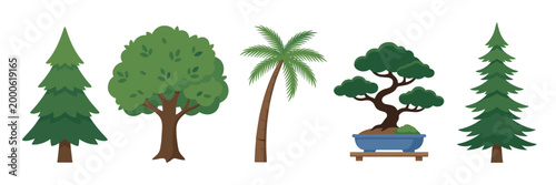 Various stylized trees and plants illustration set featuring different types of green foliage like pine, deciduous, palm, and bonsai for natural design elements.