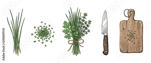 Fresh culinary herbs, knife, and cutting board arranged in a vibrant hand-drawn illustration, showcasing ingredients ready for cooking and seasoning.