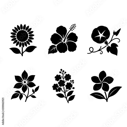 Foto Icon set of summer flowers including sunflower, plumeria, hibiscus, clematis, morning glory, and crape myrtle