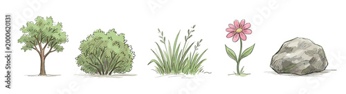 Various natural elements hand-drawn in a charming artistic style, showcasing a diverse collection of outdoor flora and geology for design projects.
