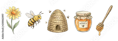 Bee honey hive flower dipper elements set illustration depicting natural sweet food production and pollination process in a charming hand-drawn style.