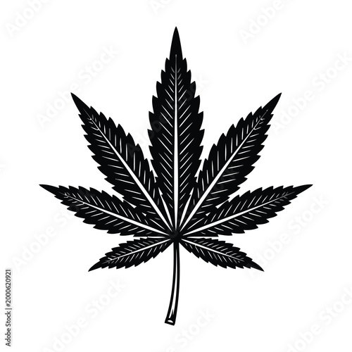 Detailed black silhouette of a cannabis leaf on white background
