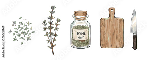 Thyme leaves, sprig, dried spice, cutting board, and knife are beautifully illustrated in a culinary collection for cooking and seasoning.