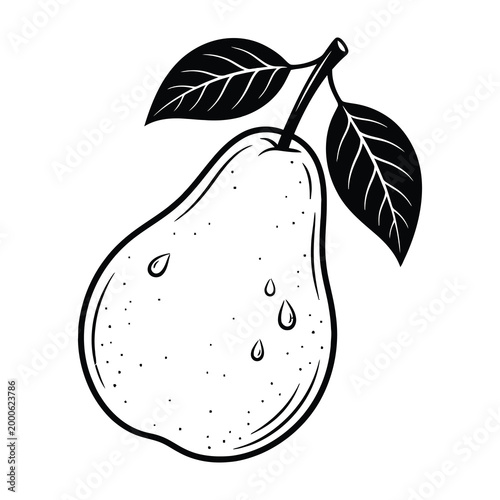 Fresh pear fruit with leaves and water droplets on white background