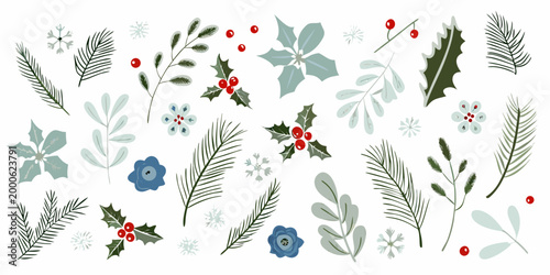 hand drawn winter flora collection with holly leaves pine branches and snowflakes high quality professional