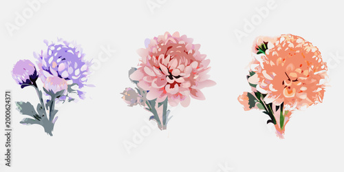 Bild auf Leinwand three stylized chrysanthemum flowers with colorful petals on light background hi