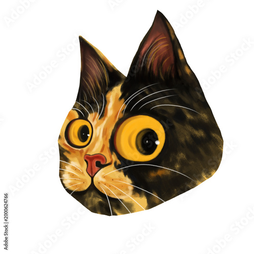 Εκτύπωση καμβά cute calico cat portrait with big eyes isolated on white background
