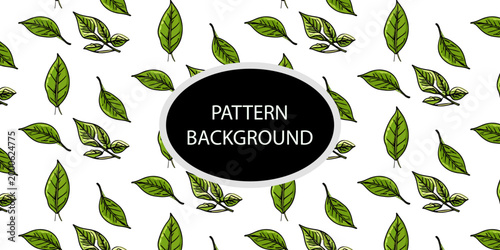 Handran popular matcha latte pattern background. Minimalist matcha leaf collection