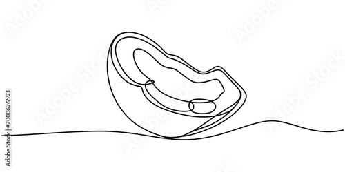 Single line of a halved coconut with flesh and husk slice fruit tropical