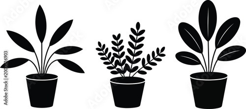 Potted houseplant vector set featuring black silhouette icons of indoor plants including rubber tree and ferns isolated on white background.