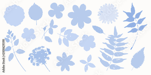 diverse collection of blue botanical specimens on light background high quality professional detailed modern elegant
