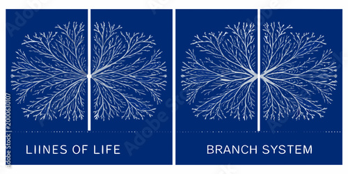 structured illustrations of plant branch systems on blue background high quality professional detailed modern elegant