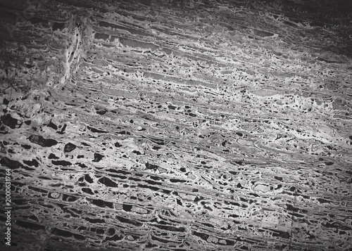 close-up textured background of natural stone.