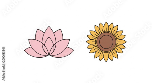 Pink Lotus Flower and Yellow Sunflower Illustration.