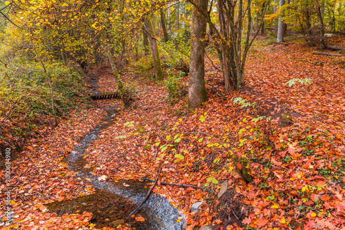 Versetalsperre im Herbst (Rundweg)