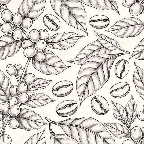 Detailed hand-drawn illustration of coffee beans, leaves, and berries in a seamless pattern