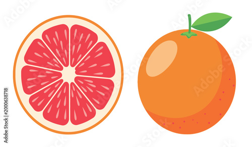 Grapefruit illustration whole fruit and cross section with vibrant colors