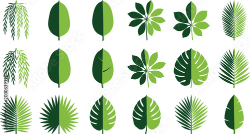 Green Leaf Icon Set Vector Collection with Tropical, Palm and Botanical Foliage Shapes for Nature Design, Eco Projects, Garden Themes and Organic Graphics
