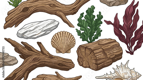 Driftwood, Seaweed, Shell and Coastal Elements Vector Set with Natural Ocean Objects for Marine Design, Beach Themes, and Nautical Illustrations